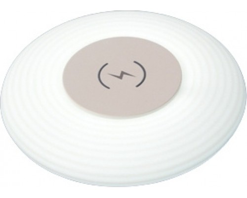 Зарядное устройство Buzz Lady D107 белый